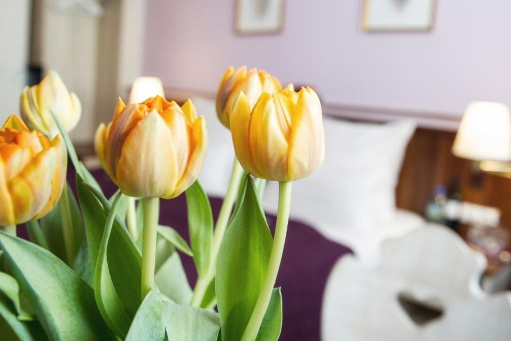 Hotel Elch Nuremberg Ngoại thất bức ảnh